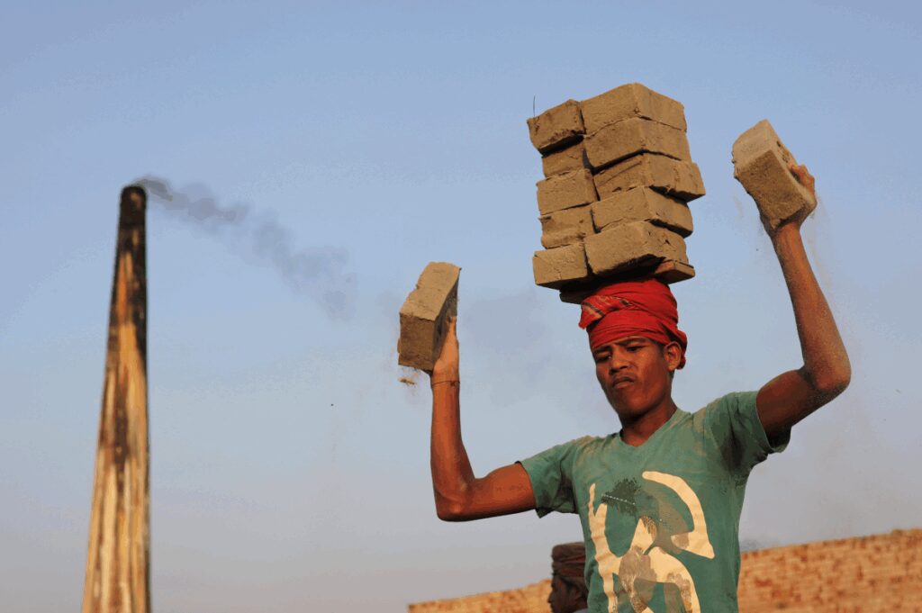 1754599391 Unnamed File.jpeg