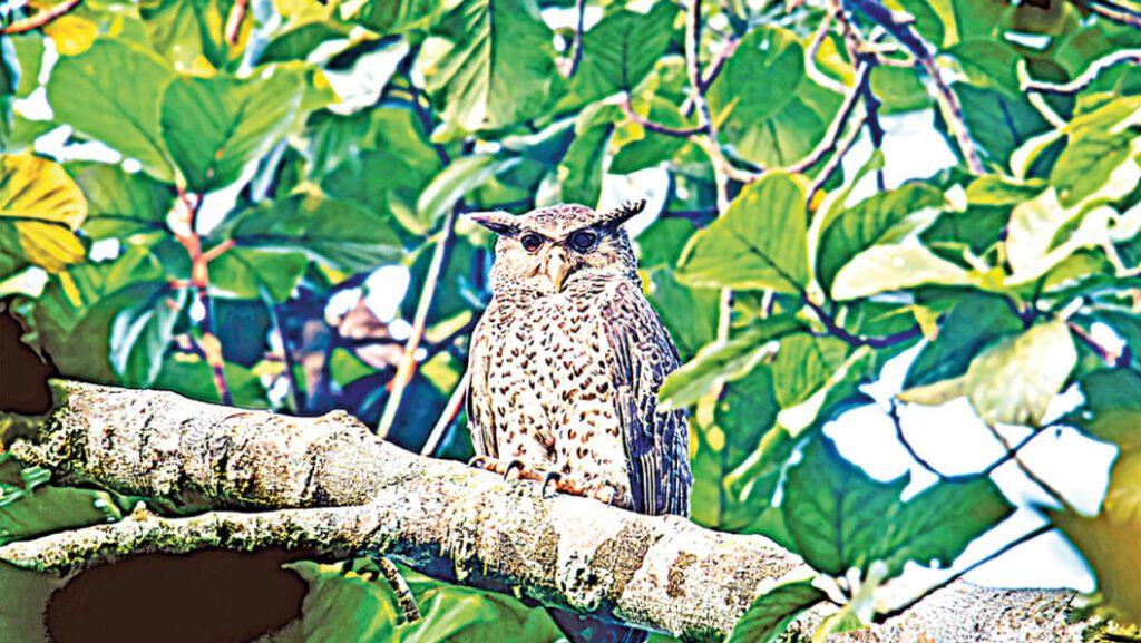 2025 09 16 101259.jpg