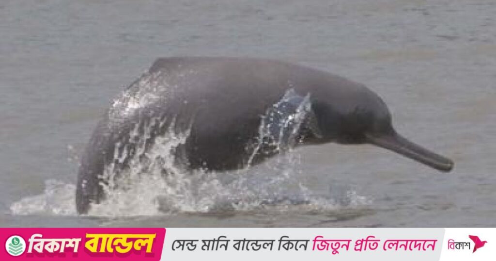 54871 web 9d24a34911758ba07d110f0d337bb98d.jpg