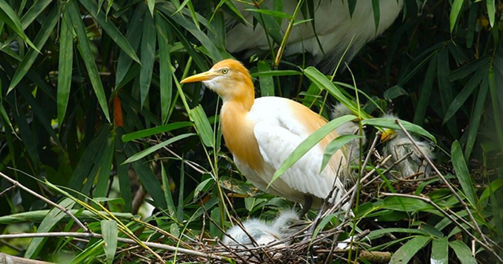 Prothomalo english2f2025 10 092fjcr0kati2fimage 319445 1759998344.jpg