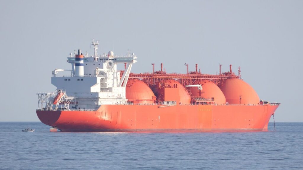 1762946236 bd8ca05b16608b75cec6ab8320aa3758.jpg