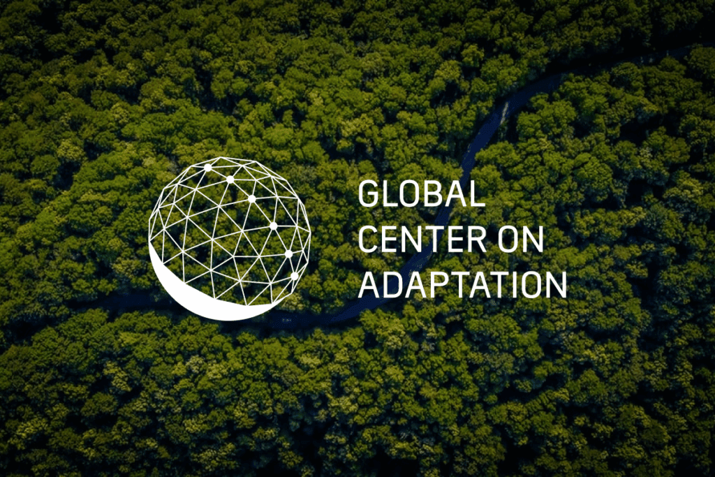 Gca the global center on adaptation social share.png